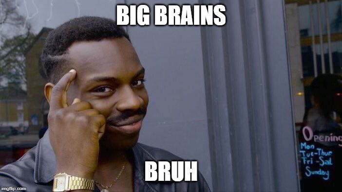 Roll Safe Think About It | BIG BRAINS; BRUH | image tagged in memes,roll safe think about it | made w/ Imgflip meme maker