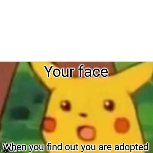 Surprised Pikachu Meme | Your face; When you find out you are adopted | image tagged in memes,surprised pikachu | made w/ Imgflip meme maker