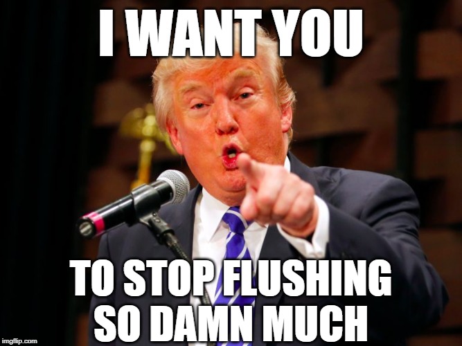 Yes, He's YOUR President | I WANT YOU; TO STOP FLUSHING SO DAMN MUCH | image tagged in wtf,donald trump,toilet humor | made w/ Imgflip meme maker