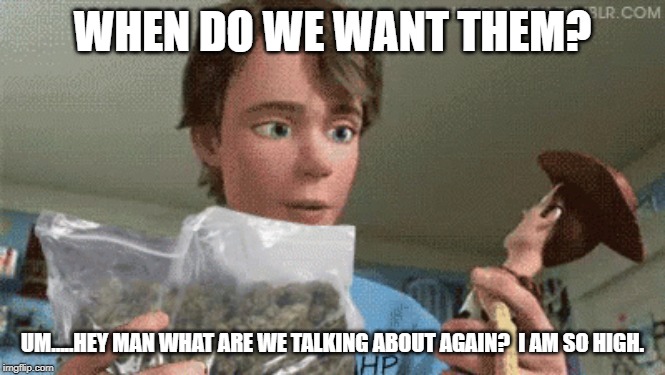 WHEN DO WE WANT THEM? UM.....HEY MAN WHAT ARE WE TALKING ABOUT AGAIN?  I AM SO HIGH. | made w/ Imgflip meme maker