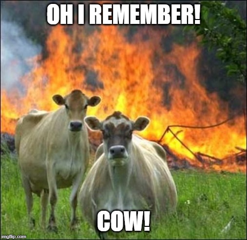 Evil Cows Meme | OH I REMEMBER! COW! | image tagged in memes,evil cows | made w/ Imgflip meme maker