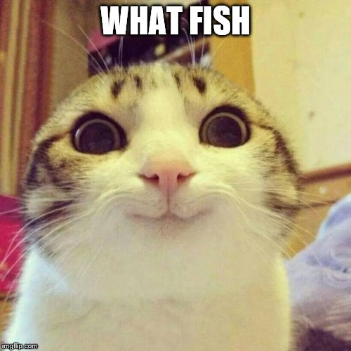 Smiling Cat Meme | WHAT FISH | image tagged in memes,smiling cat | made w/ Imgflip meme maker