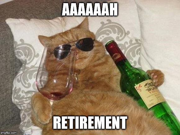 Funny Cat Birthday | AAAAAAH; RETIREMENT | image tagged in funny cat birthday | made w/ Imgflip meme maker