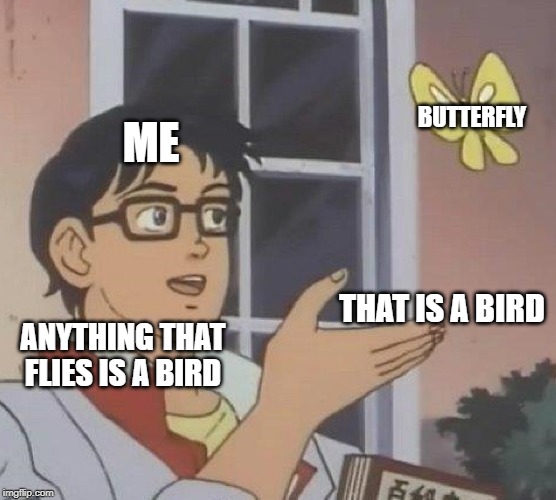 Is This A Pigeon Meme ME; BUTTERFLY; THAT IS A BIRD; ANYTHING THAT FLIES IS...