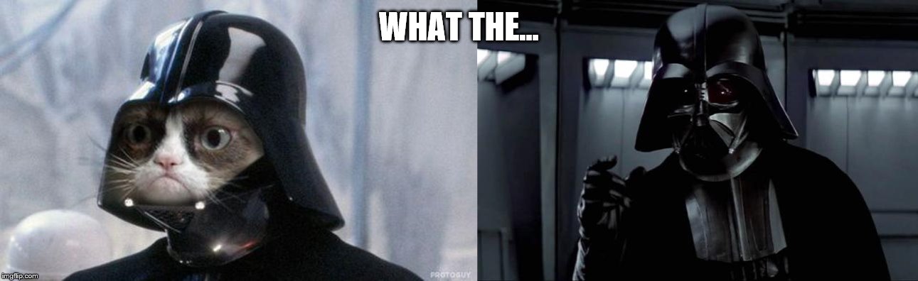 WHAT THE... | image tagged in memes,grumpy cat star wars,darth vader | made w/ Imgflip meme maker
