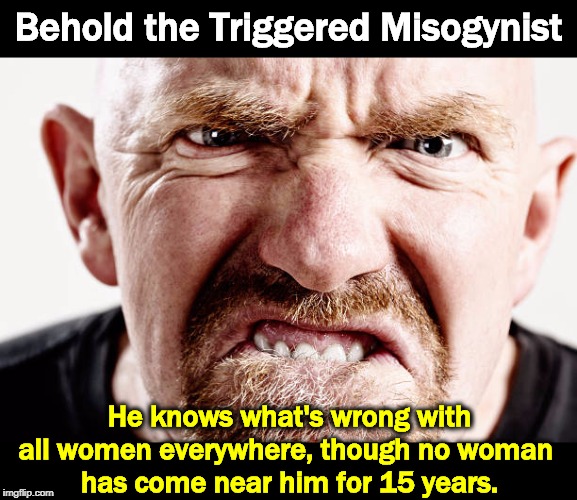 His last woman was drunk at the time. But that was a long time ago. | Behold the Triggered Misogynist; He knows what's wrong with all women everywhere, though no woman 
has come near him for 15 years. | image tagged in triggered misogynist knows what's wrong with women everywhere,misogyny,women,hatred,impotence,closet case | made w/ Imgflip meme maker