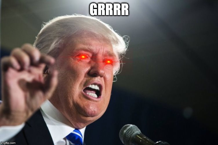 donald trump | GRRRR | image tagged in donald trump | made w/ Imgflip meme maker