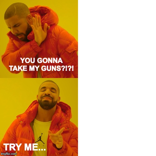 Drake Hotline Bling | YOU GONNA TAKE MY GUNS?!?! TRY ME... | image tagged in memes,drake hotline bling | made w/ Imgflip meme maker