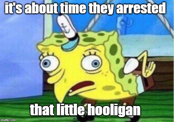 Mocking Spongebob Meme | it's about time they arrested that little hooligan | image tagged in memes,mocking spongebob | made w/ Imgflip meme maker