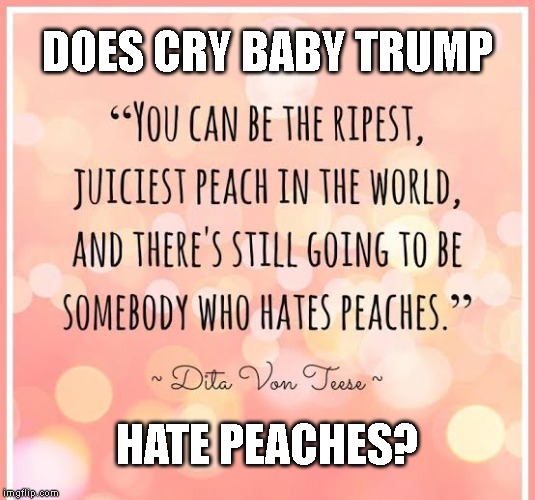 We Don't Hate You Trump - We Hate What You Do!    I'm Peach | DOES CRY BABY TRUMP; HATE PEACHES? | image tagged in impeach trump,impeach,impeachment,trump impeachment,trump traitor | made w/ Imgflip meme maker