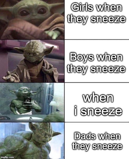 yoda rank | Girls when they sneeze; Boys when they sneeze; when i sneeze; Dads when they sneeze | image tagged in yoda rank | made w/ Imgflip meme maker