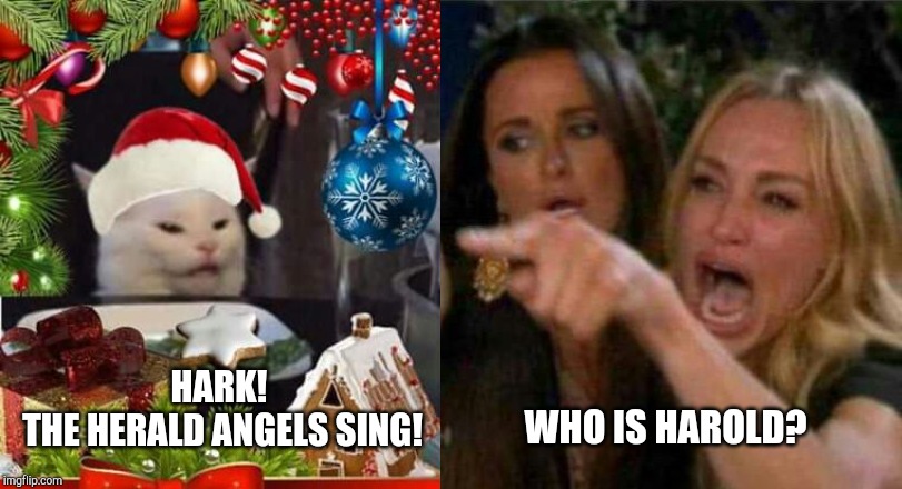 HARK! 
THE HERALD ANGELS SING! WHO IS HAROLD? | image tagged in woman yelling at cat | made w/ Imgflip meme maker