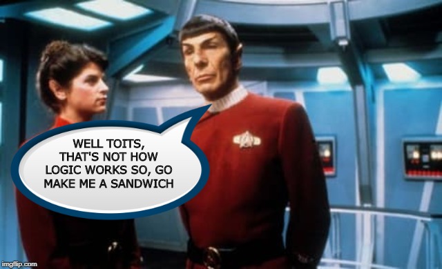 Spock Schools Saavik | WELL TOITS, THAT'S NOT HOW LOGIC WORKS SO, GO MAKE ME A SANDWICH | image tagged in spock and saavik | made w/ Imgflip meme maker