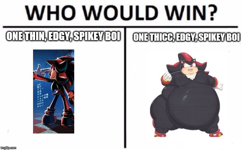 Who Would Win? | ONE THIN, EDGY, SPIKEY BOI; ONE THICC, EDGY, SPIKEY BOI | image tagged in memes,who would win,fat shadow | made w/ Imgflip meme maker