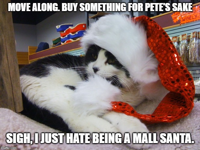 Santa Cat | MOVE ALONG. BUY SOMETHING FOR PETE'S SAKE; SIGH, I JUST HATE BEING A MALL SANTA. | image tagged in christmas cat,mall santa | made w/ Imgflip meme maker