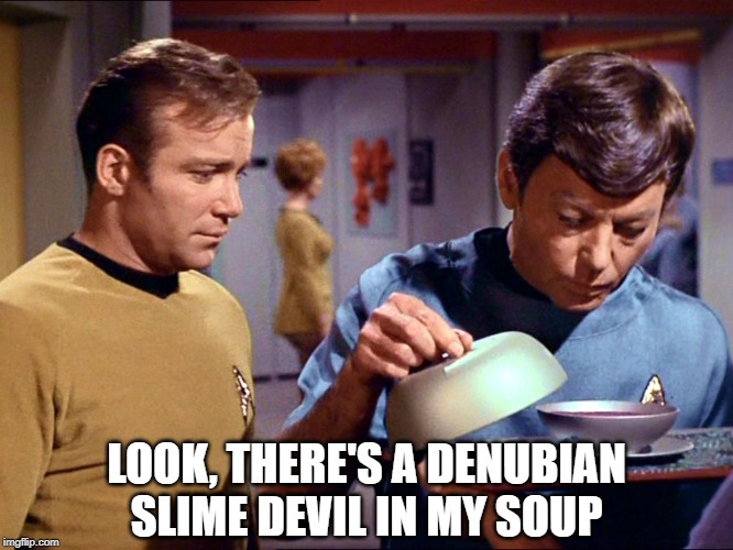 Dr. McCoy Isn't Happy With His Soup | LOOK, THERE'S A DENUBIAN SLIME DEVIL IN MY SOUP | image tagged in bones soup | made w/ Imgflip meme maker