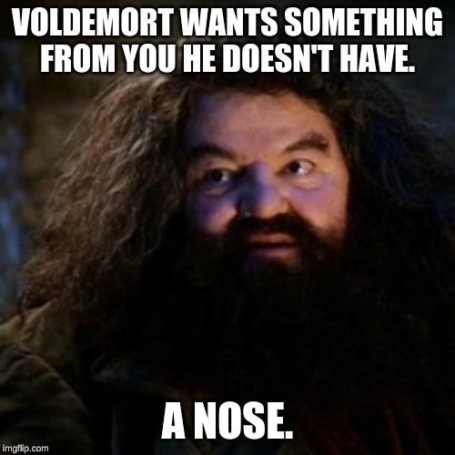 You're a wizard harry | VOLDEMORT WANTS SOMETHING FROM YOU HE DOESN'T HAVE. A NOSE. | image tagged in you're a wizard harry | made w/ Imgflip meme maker