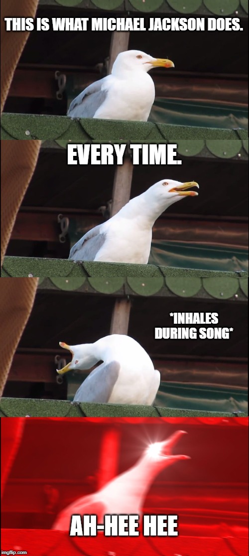 Inhaling Seagull | THIS IS WHAT MICHAEL JACKSON DOES. EVERY TIME. *INHALES DURING SONG*; AH-HEE HEE | image tagged in memes,inhaling seagull | made w/ Imgflip meme maker