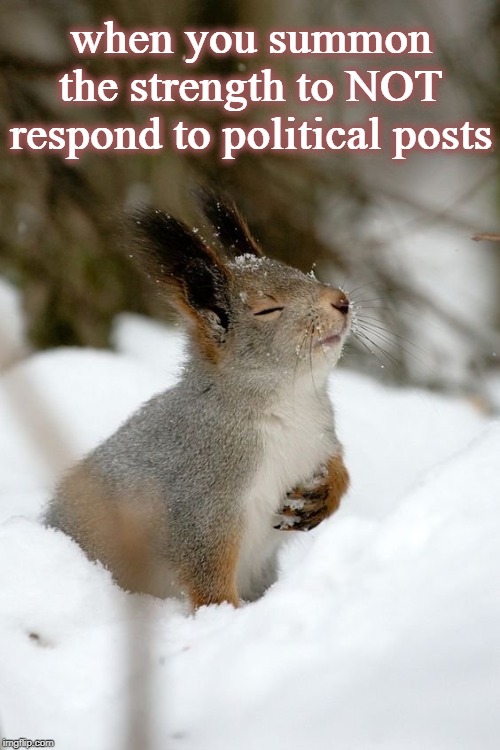 when you summon the strength to NOT respond to political posts | image tagged in politics,cute animals | made w/ Imgflip meme maker