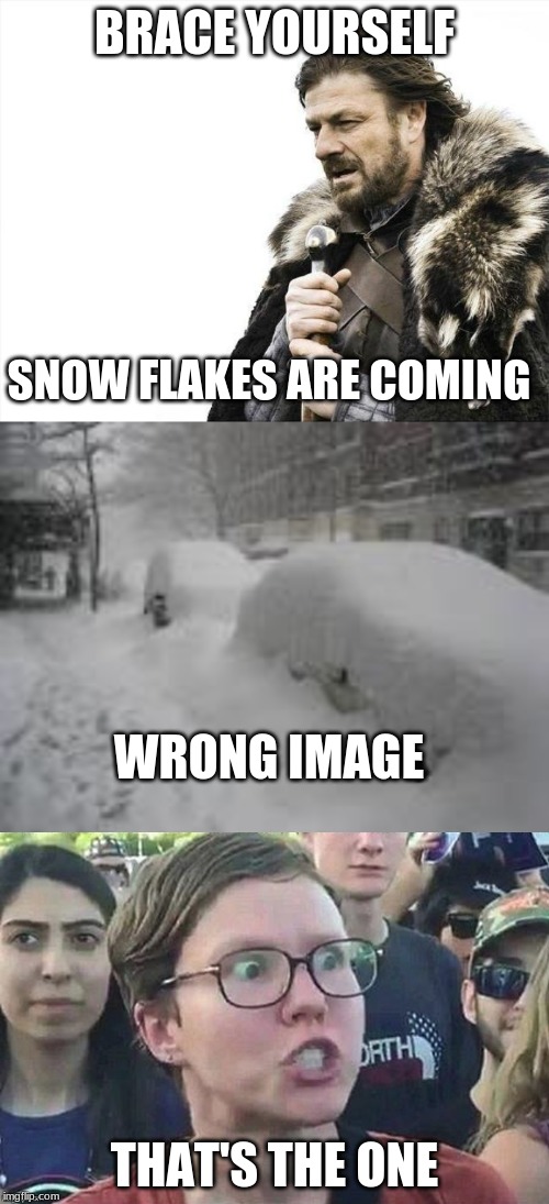 Brace yourself for those snowflakes | BRACE YOURSELF; SNOW FLAKES ARE COMING; WRONG IMAGE; THAT'S THE ONE | image tagged in memes,brace yourselves x is coming,snow storm,triggered snowflake | made w/ Imgflip meme maker