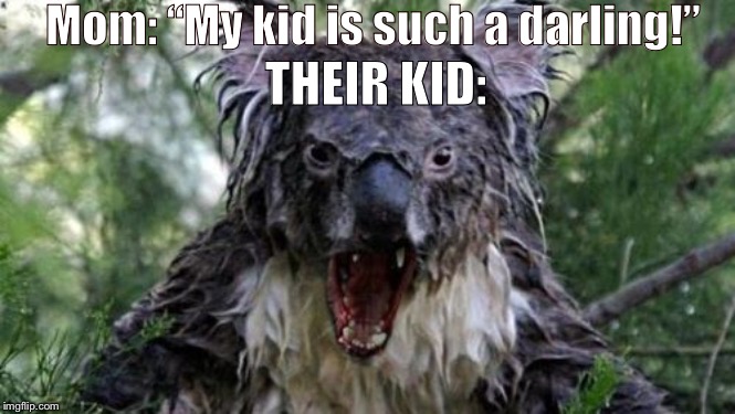 Angry Koala | Mom: “My kid is such a darling!”; THEIR KID: | image tagged in memes,angry koala | made w/ Imgflip meme maker