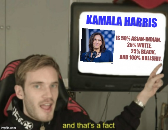 Kamala Harris is mixed race and pure bullshit | KAMALA HARRIS; IS 50% ASIAN-INDIAN,       25% WHITE,                25% BLACK,        AND 100% BULLSHIT. | image tagged in and that's a fact,memes,kamala harris,black and white,indian,bullshit | made w/ Imgflip meme maker