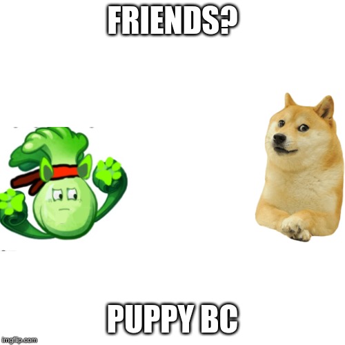 Blank Transparent Square | FRIENDS? PUPPY BC | image tagged in memes,blank transparent square | made w/ Imgflip meme maker