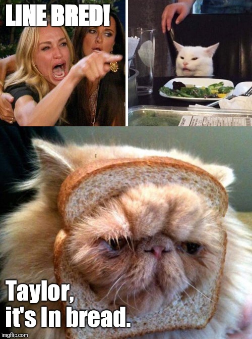 LINE BRED! Taylor, it's In bread. | image tagged in smudge the cat | made w/ Imgflip meme maker