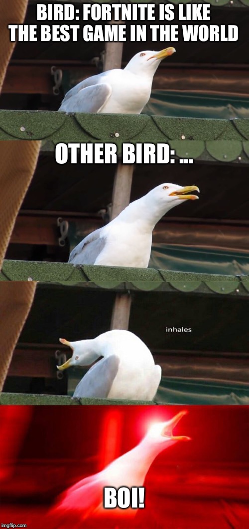 inhaling seagull 4 red | BIRD: FORTNITE IS LIKE THE BEST GAME IN THE WORLD; OTHER BIRD: ... BOI! | image tagged in inhaling seagull 4 red | made w/ Imgflip meme maker