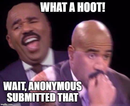 Steve Harvey Laughing Serious | WHAT A HOOT! WAIT, ANONYMOUS SUBMITTED THAT | image tagged in steve harvey laughing serious | made w/ Imgflip meme maker