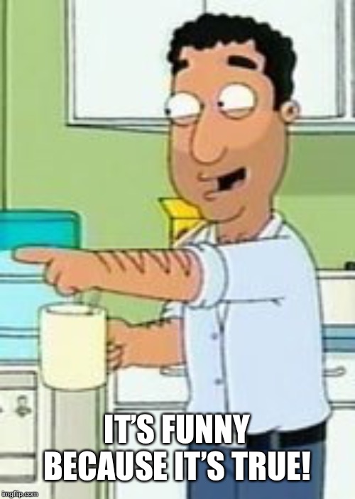 Family Guy: It's funny because... | IT’S FUNNY BECAUSE IT’S TRUE! | image tagged in family guy it's funny because | made w/ Imgflip meme maker