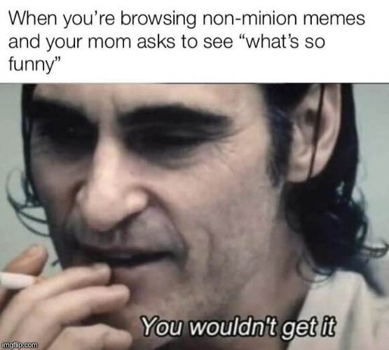 meme | image tagged in you wouldn't get it,funny | made w/ Imgflip meme maker