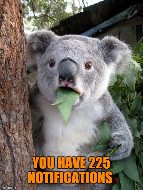 Surprised Koala Meme | YOU HAVE 225 NOTIFICATIONS | image tagged in memes,surprised koala | made w/ Imgflip meme maker