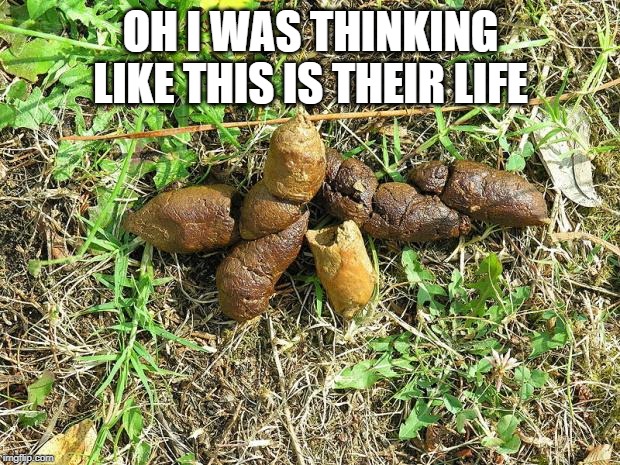 dog turd | OH I WAS THINKING LIKE THIS IS THEIR LIFE | image tagged in dog turd | made w/ Imgflip meme maker