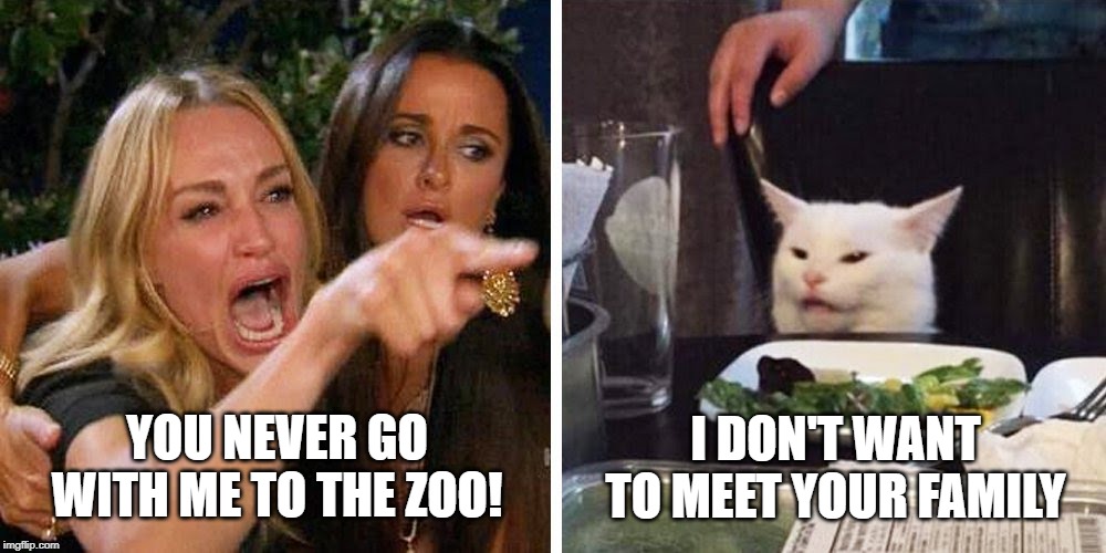 Smudge the cat | I DON'T WANT TO MEET YOUR FAMILY; YOU NEVER GO WITH ME TO THE ZOO! | image tagged in smudge the cat | made w/ Imgflip meme maker