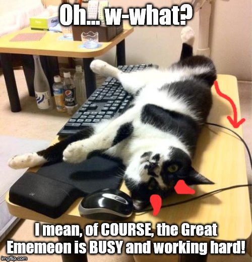 DEFINITELY NOT slacking off... | image tagged in cats,work,busy,sleepy | made w/ Imgflip meme maker