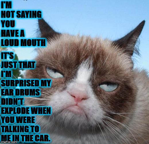 LOUD MOUTH | IT'S JUST THAT I'M SURPRISED MY EAR DRUMS DIDN'T EXPLODE WHEN YOU WERE TALKING TO ME IN THE CAR. I'M NOT SAYING YOU HAVE A LOUD MOUTH | image tagged in loud mouth | made w/ Imgflip meme maker