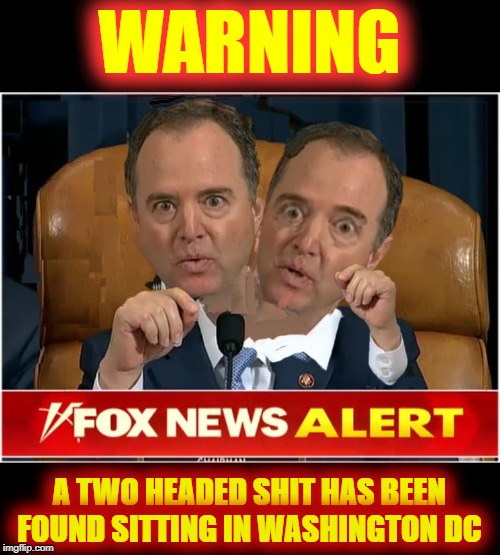 The Shitty Ones | WARNING; A TWO HEADED SHIT HAS BEEN FOUND SITTING IN WASHINGTON DC | image tagged in the shitty ones | made w/ Imgflip meme maker