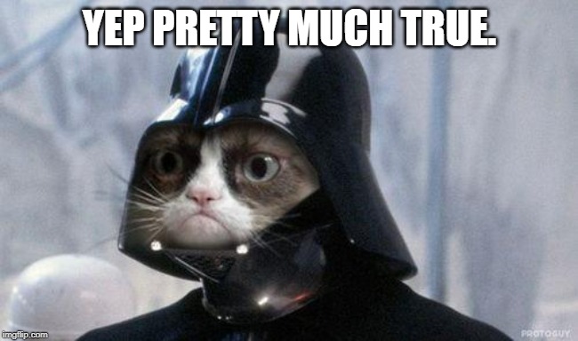Grumpy Cat Star Wars Meme | YEP PRETTY MUCH TRUE. | image tagged in memes,grumpy cat star wars,grumpy cat | made w/ Imgflip meme maker