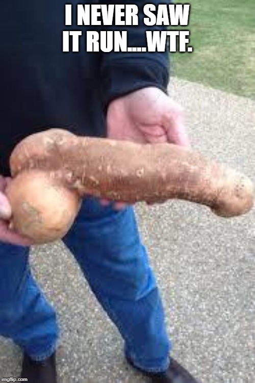 dicktatter | I NEVER SAW IT RUN....WTF. | image tagged in dicktatter | made w/ Imgflip meme maker