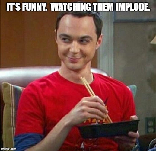 Sheldon Chinese Food | IT'S FUNNY.  WATCHING THEM IMPLODE. | image tagged in sheldon chinese food | made w/ Imgflip meme maker