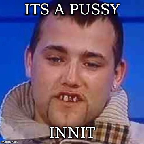 Innit | ITS A PUSSY INNIT | image tagged in innit | made w/ Imgflip meme maker