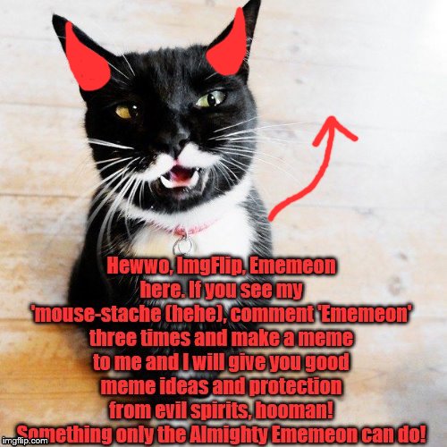 Do as Ememeon says for power, hooman! | image tagged in comments,power,cats | made w/ Imgflip meme maker