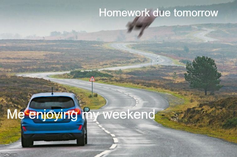 Turtle Attack | Homework due tomorrow; Me enjoying my weekend | image tagged in turtle attack | made w/ Imgflip meme maker