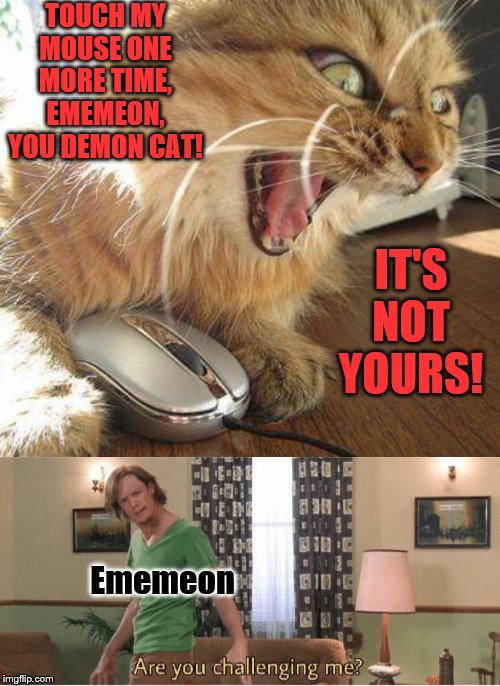 TOUCH MY MOUSE ONE MORE TIME, EMEMEON, YOU DEMON CAT! IT'S NOT YOURS! Ememeon | image tagged in angry cat,are you challenging me | made w/ Imgflip meme maker