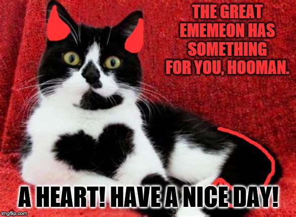 Just a little something from Ememeon... | THE GREAT EMEMEON HAS SOMETHING FOR YOU, HOOMAN. A HEART! HAVE A NICE DAY! | image tagged in heart,cats,i would do anything for you | made w/ Imgflip meme maker