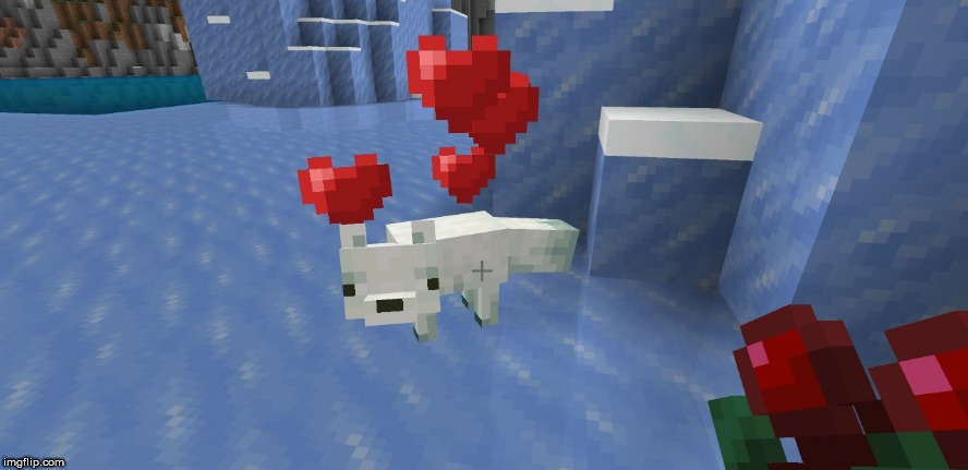 minecraft hearts | image tagged in minecraft hearts | made w/ Imgflip meme maker