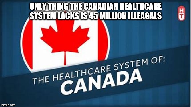 You Betcha ! | ONLY THING THE CANADIAN HEALTHCARE SYSTEM LACKS IS 45 MILLION ILLEAGALS | image tagged in healthcare,2020 elections,democrats | made w/ Imgflip meme maker