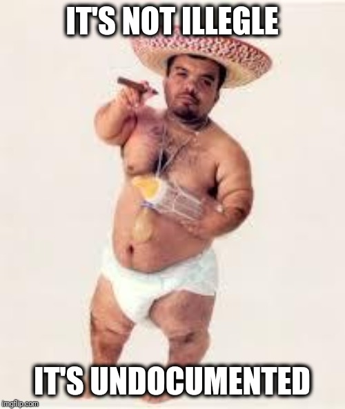 mexican dwarf | IT'S NOT ILLEGLE IT'S UNDOCUMENTED | image tagged in mexican dwarf | made w/ Imgflip meme maker