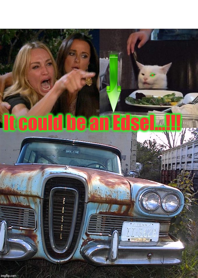 It could be an Edsel...!!! . | image tagged in memes,woman yelling at cat | made w/ Imgflip meme maker